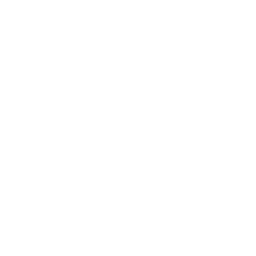 Safe connection