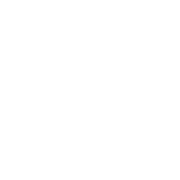 Photovoltaic module